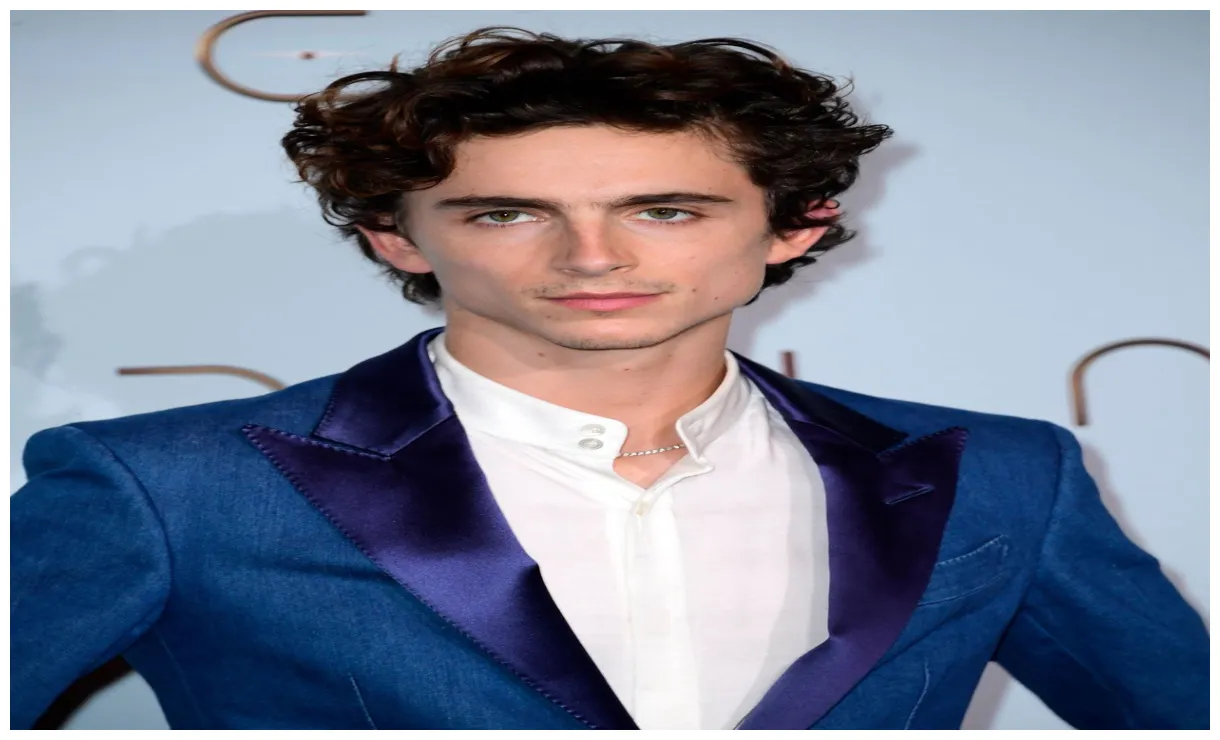 Timothée chalamet biography, movies, dune, sister, & call me by your