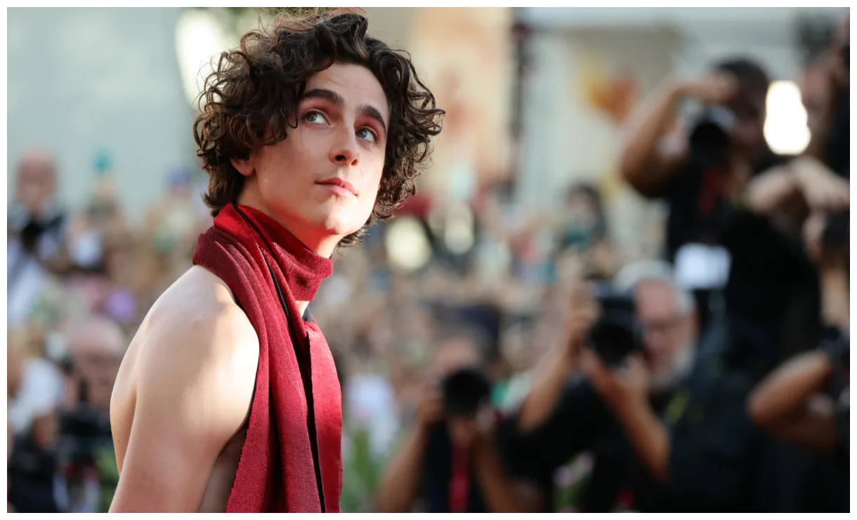 Timothée chalamet the rising star redefining hollywood