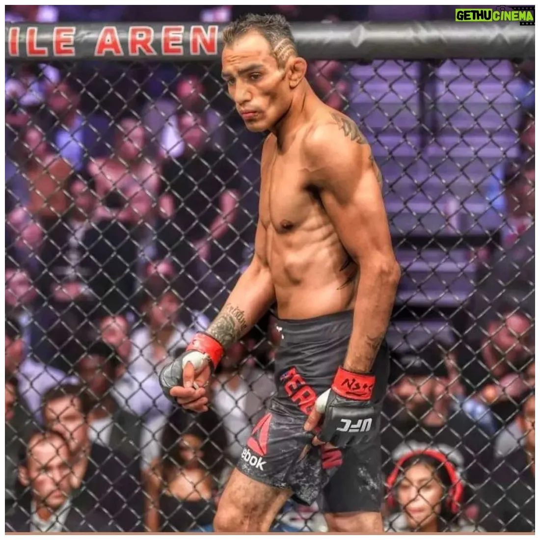 Wiki, biography, age, gallery, spouse and more