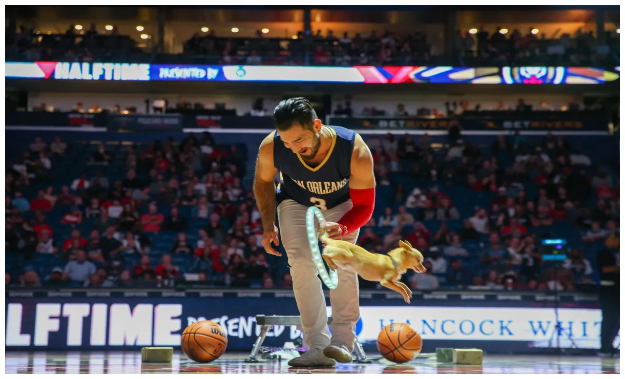 S pelicans vs. trail blazers entertainment 11/10/22