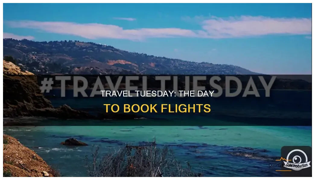 The day to book flights quartzmountain