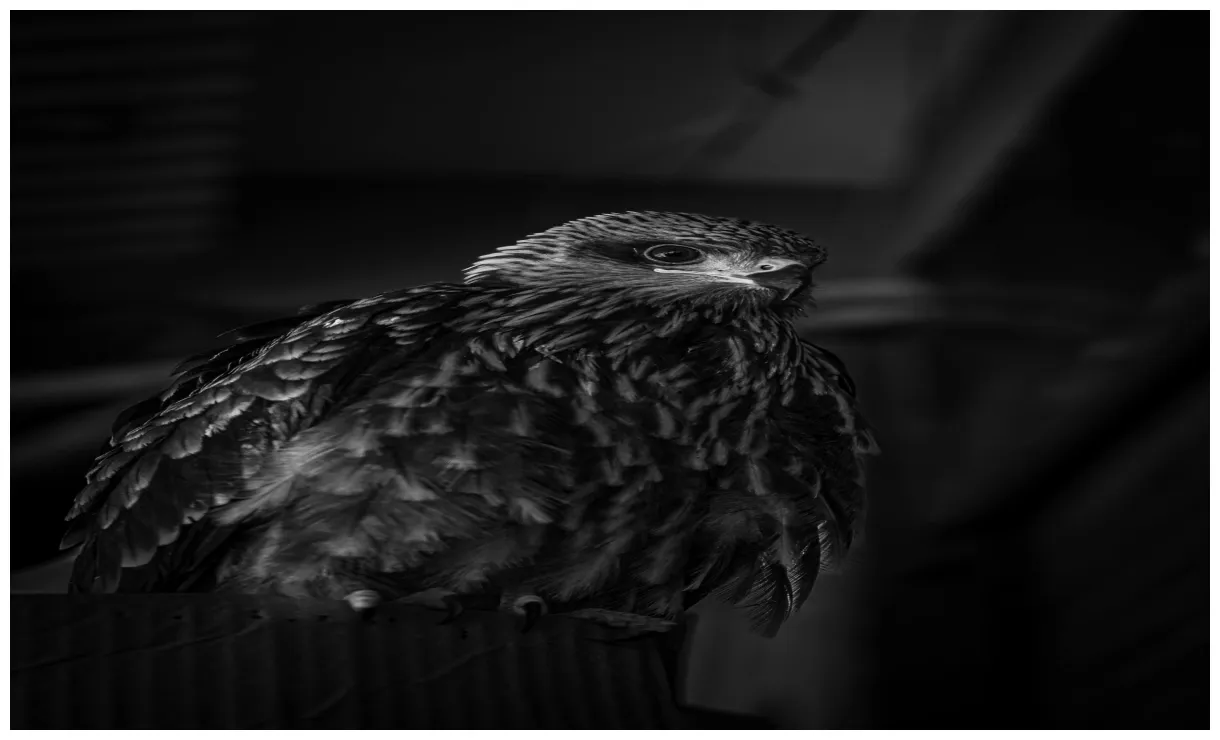 Tricia+Mclaughlin+Images Photos, Download The BEST Free Tricia