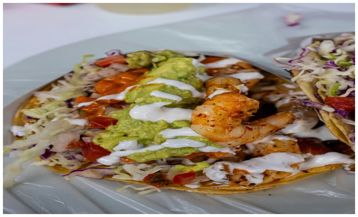 Tricia+Mclaughlin+Images Photos, Download The BEST Free Tricia