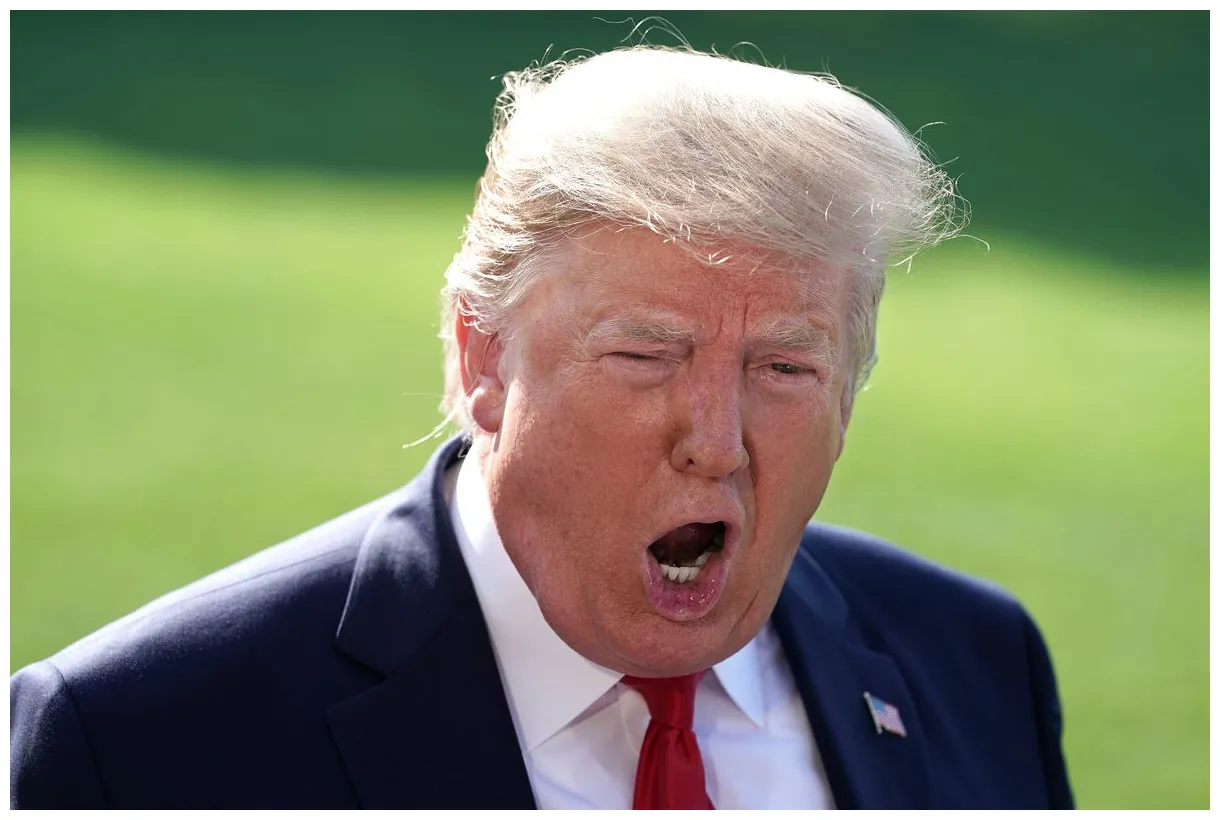 'He only fanned the flames': Trump's latest campaign tactic shredded in