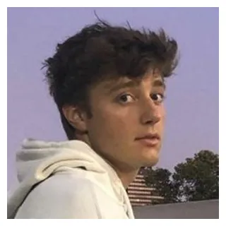 Age, family, bio famous birt ays