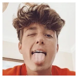 Age, family, bio famous birt ays