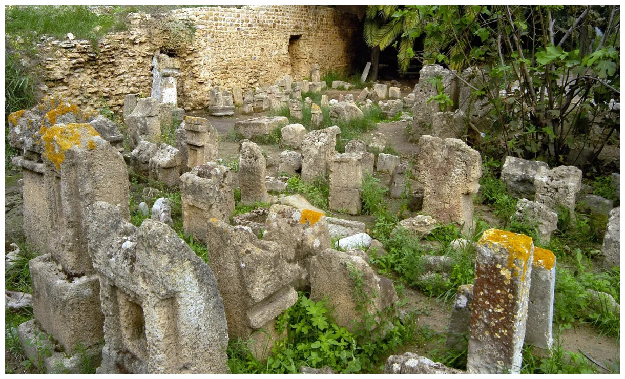 Reiseführer 2025 das beste in entdecken expedia