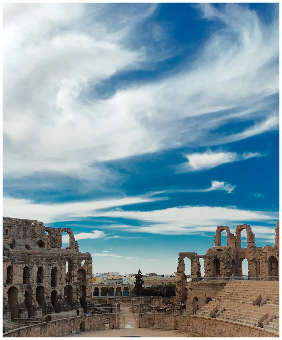 Little papaya voyages