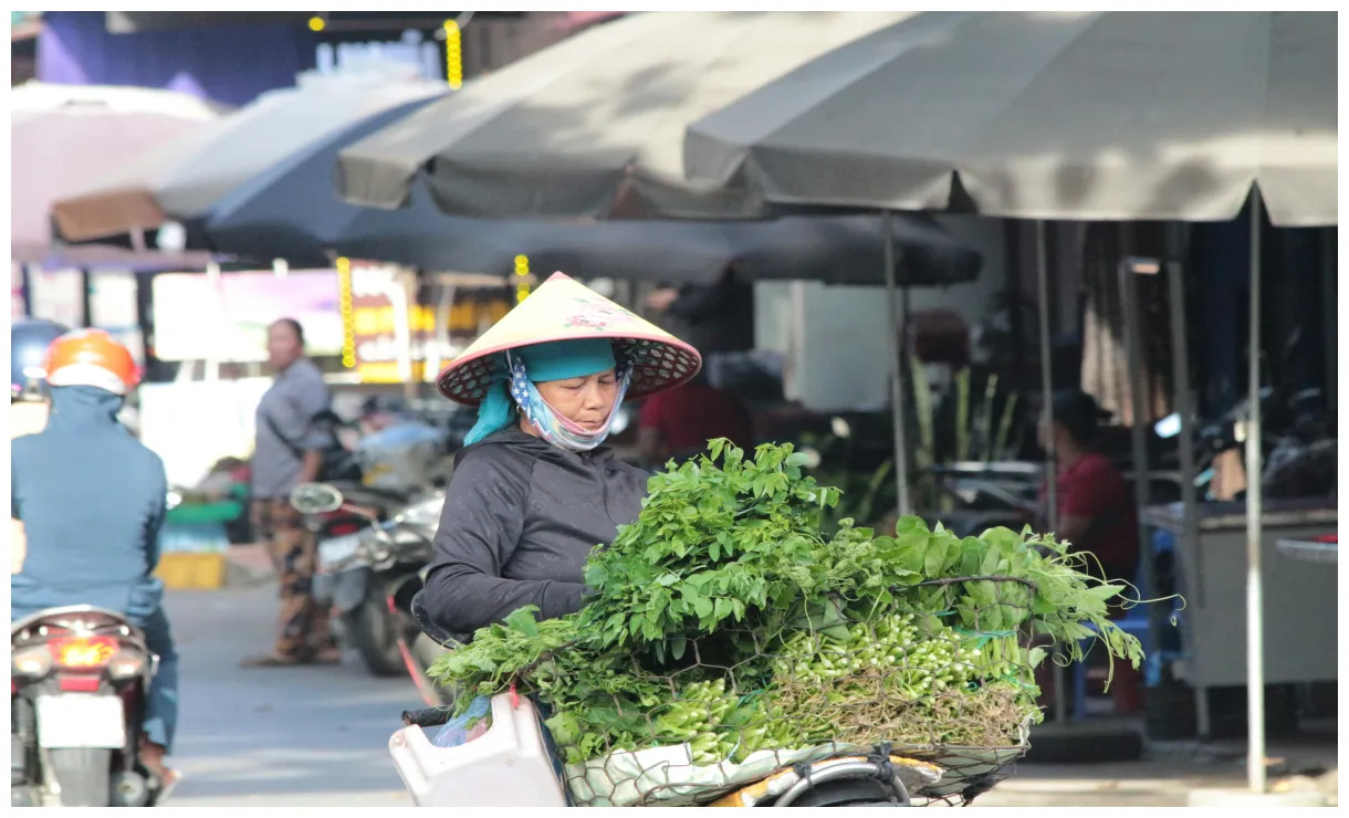 S, download the best free s & s