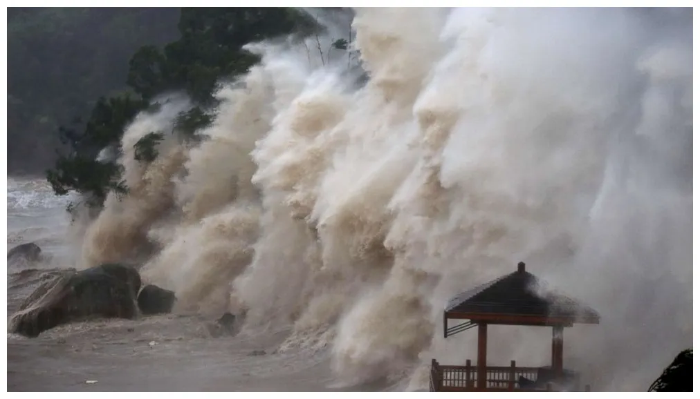 What is a everything you need to know abc news