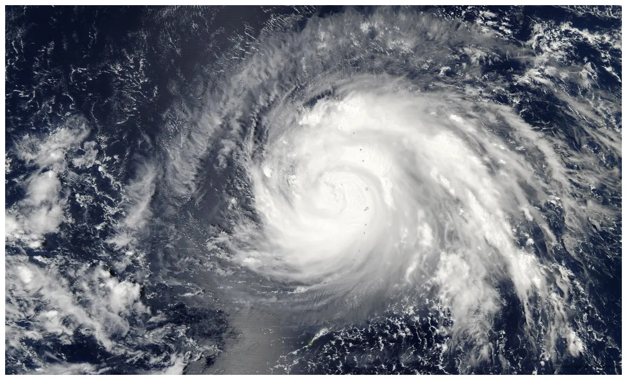 What dream about means