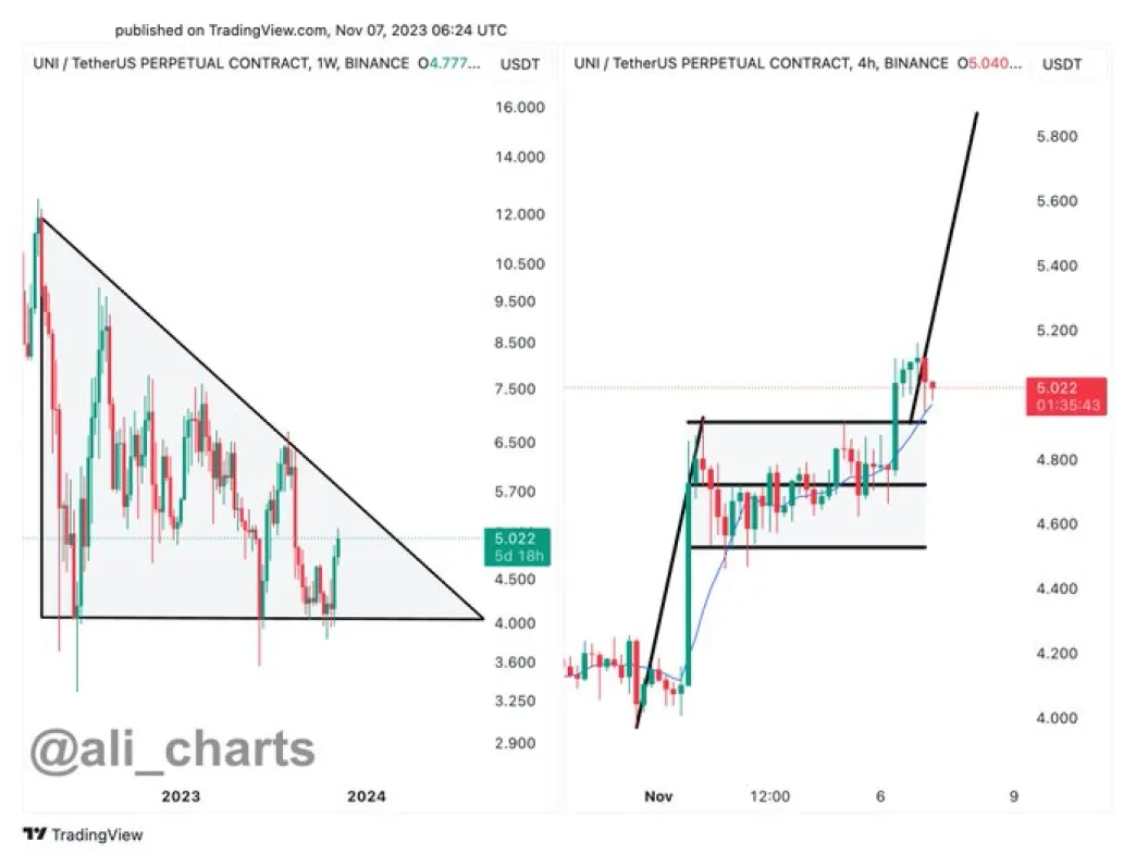Uniswap uni bullish trend chart week 2 january 2026