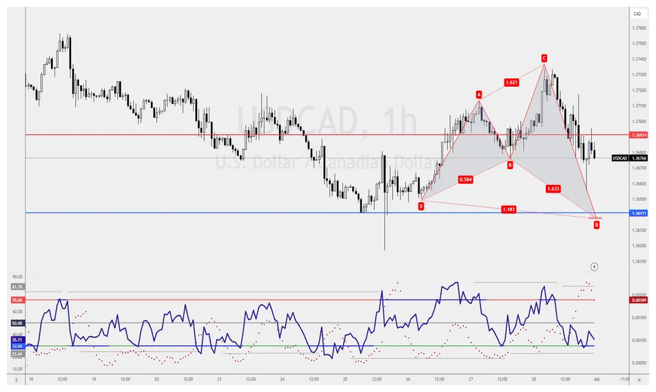 Usdc usdc technical analysis chart week 2 january 2026