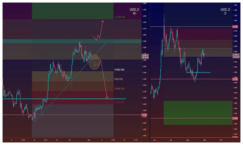 Usdc usdc price fluctuation graph week 1 january 2026