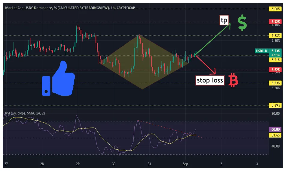 Usdc usdc technical analysis chart week 1 january 2026