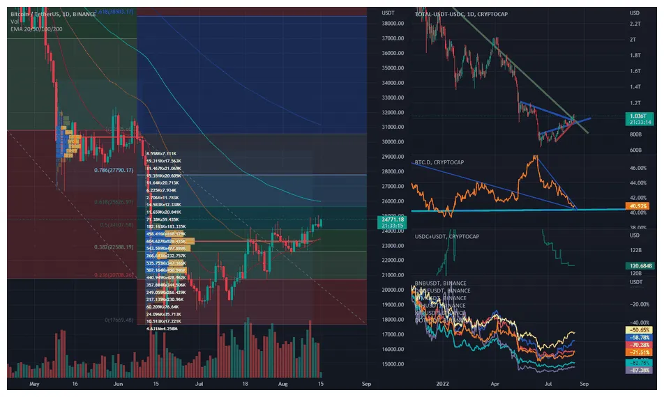 Usdc usdc candlestick graph prediction week 1 january 2026