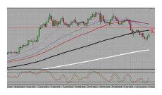 Usdd daily moving average chart live update 2025