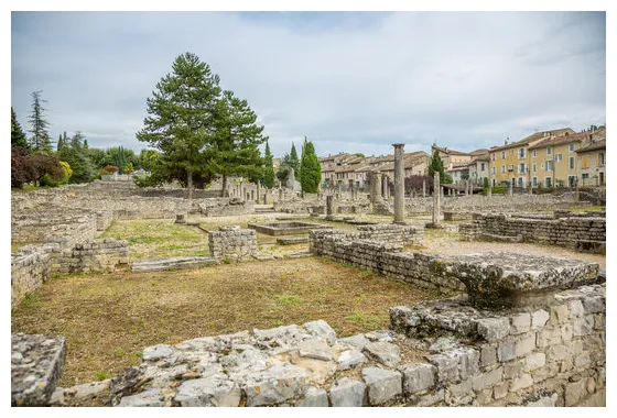 Maison Au Dauphin Vaison La Romaine | Ventana Blog