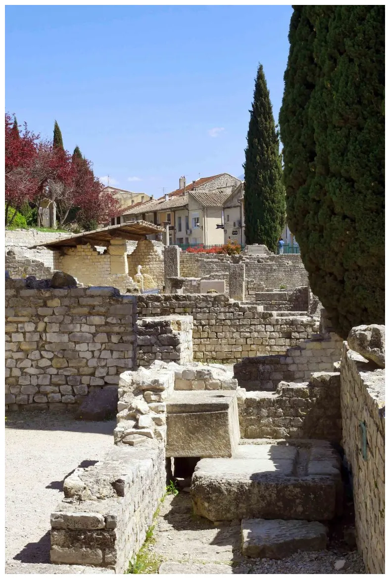 Visite guidée du site antique de Puymin à Vaison la Romaine
