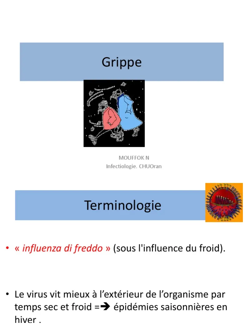 Grippe pdf influenzavirus a sous-type h5n1 grippe