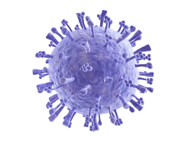 Virus grippe banque d' s et s libres de droit istock