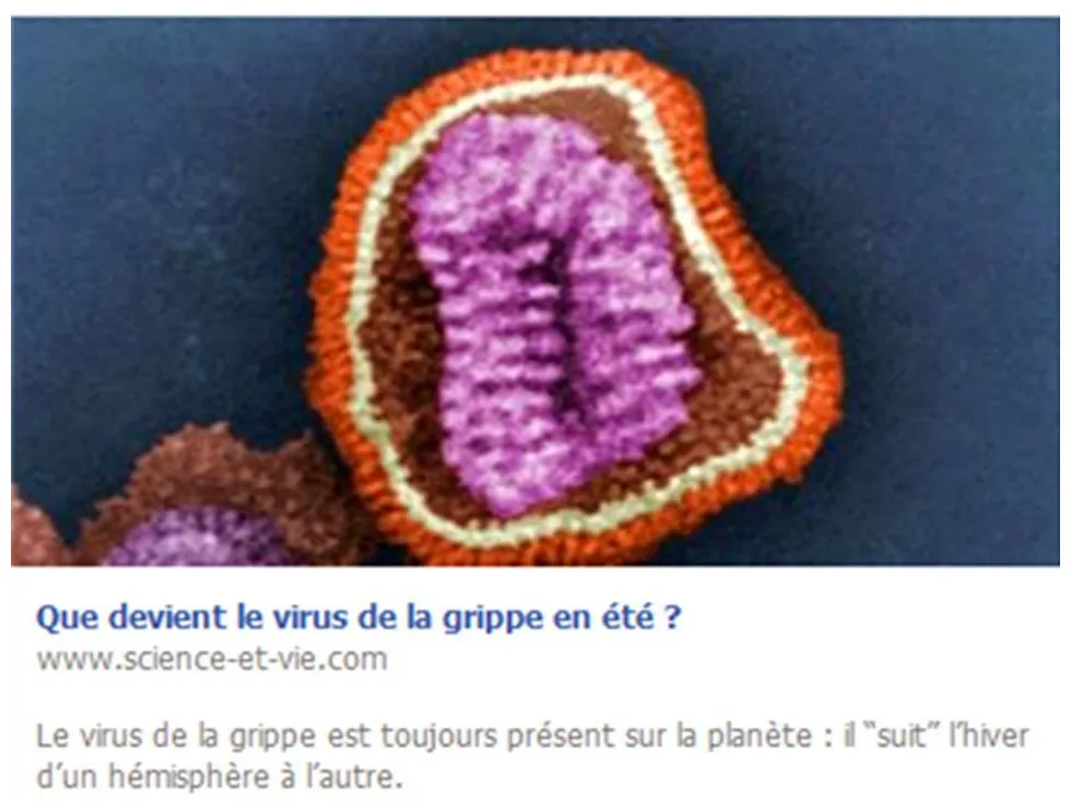 Quand la grippe t'agrippe ! actualités et news