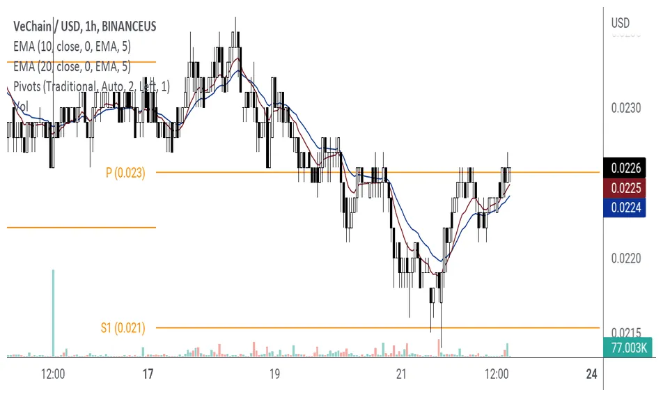 Vechain realtime market value graph live update 2025