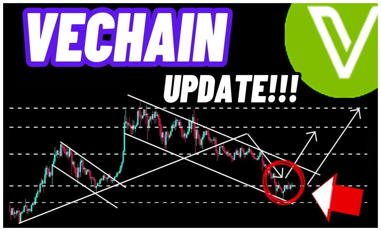 Vechain trading volume chart daily live update 2025