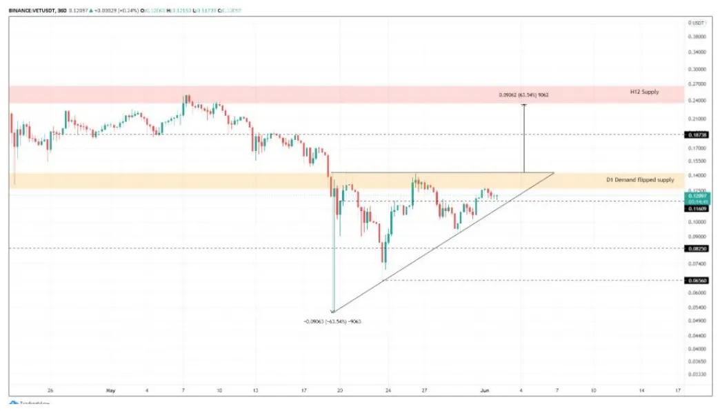 Vechain vet market trend analysis week 1 january 2026