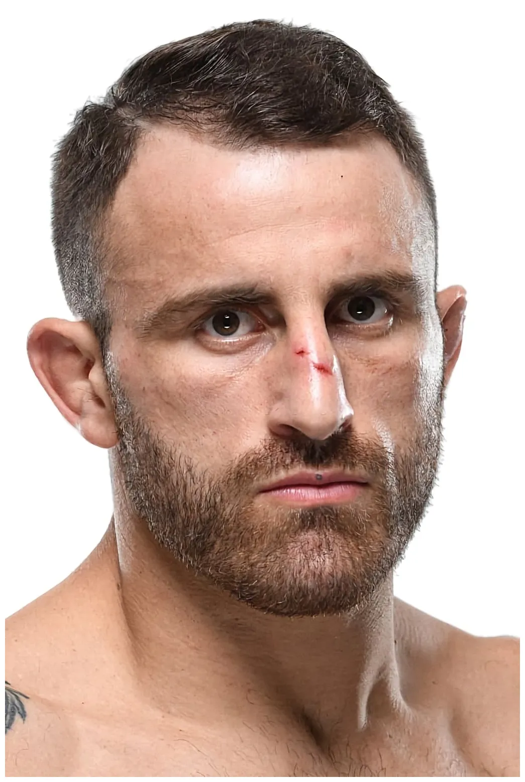 Alexander wiki, biography, age, gallery, spouse and more