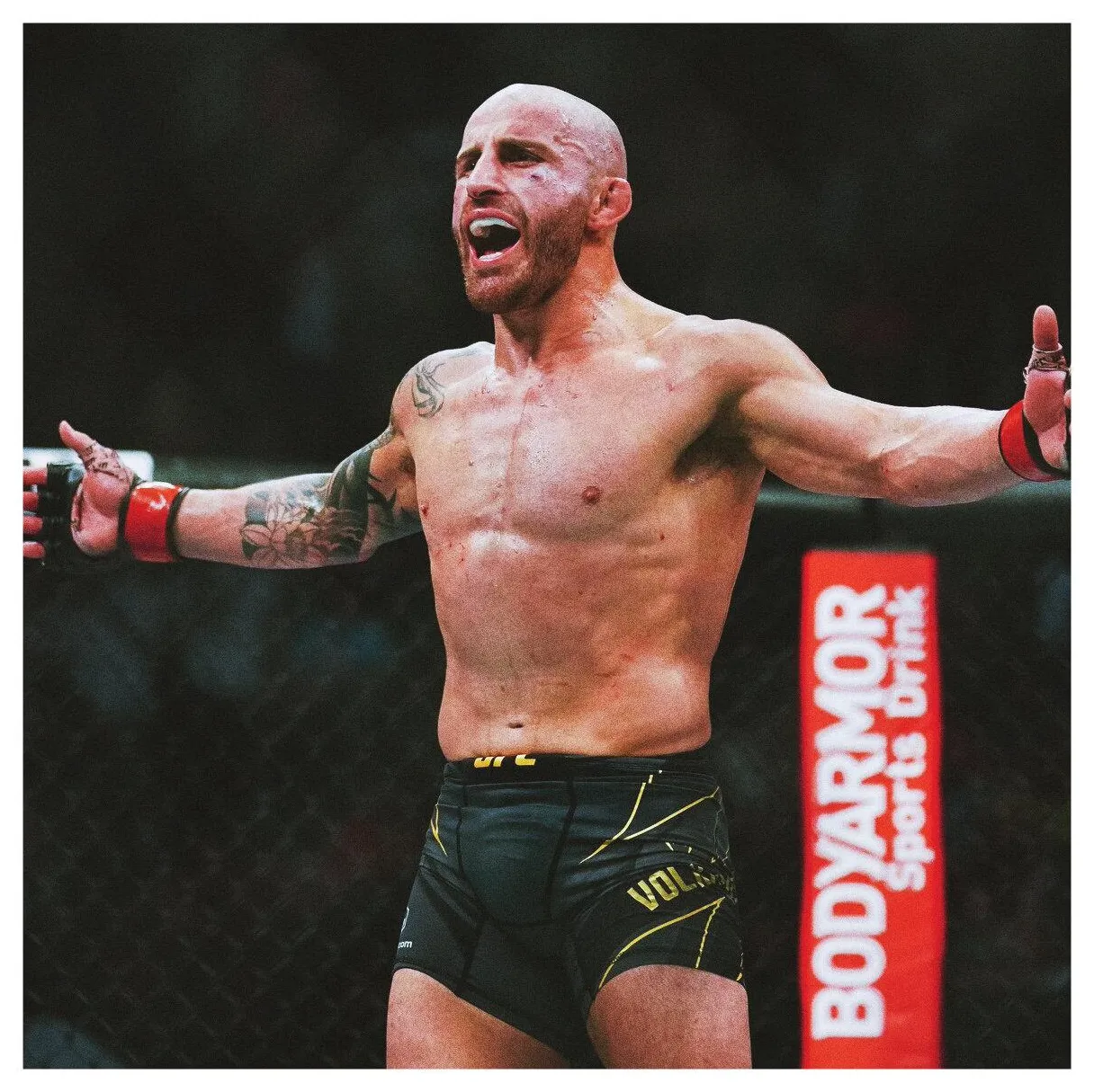 Alexander s top free alexander