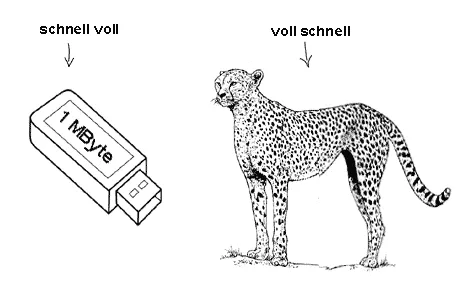The two meanings of "voll"