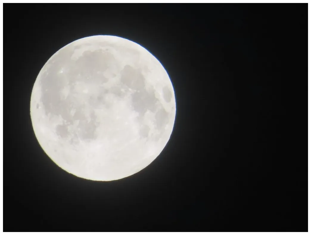 Heute ist friese journal