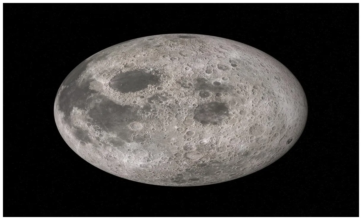 Der, die oder das ? welcher artikel?