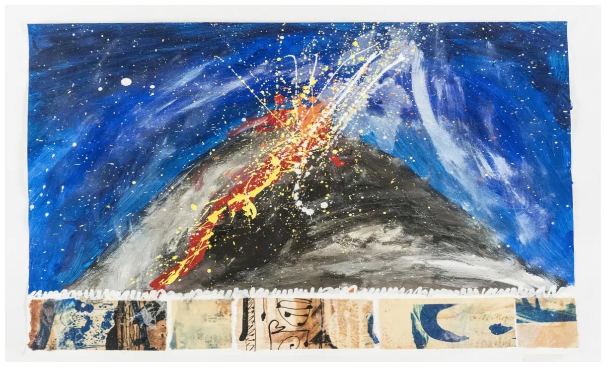 Vulkaanuitbarsting ronny seeuws