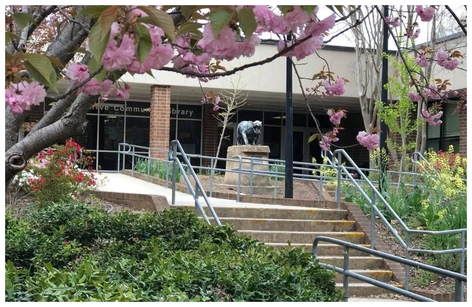 Two wake county magnet schools earn national distinctions