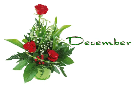 Tekst plaatje december » animaatjes.nl