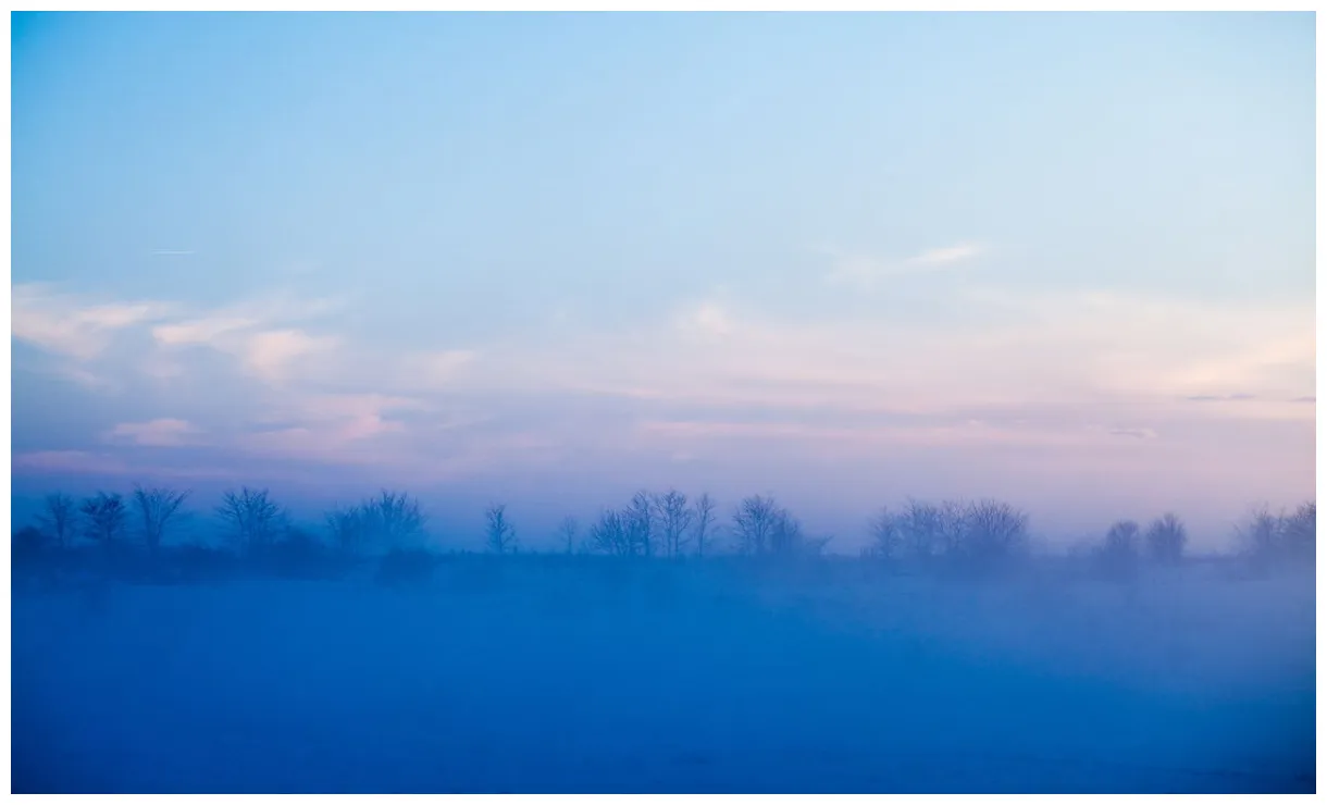 The seasonal forecast for december