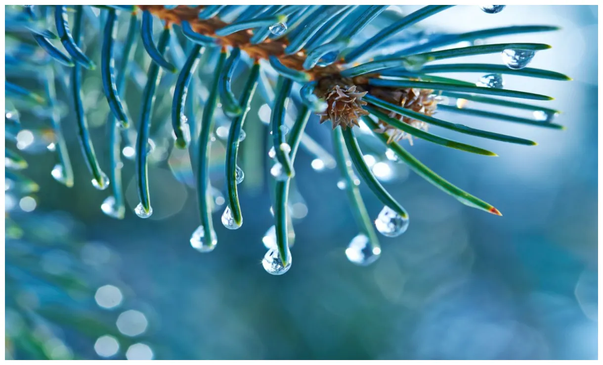 The uk weather outlook for december 2021