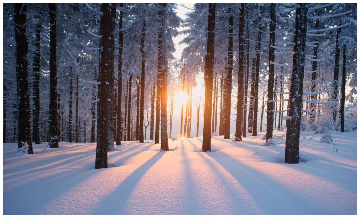 Mudjacking in winter can it be done?