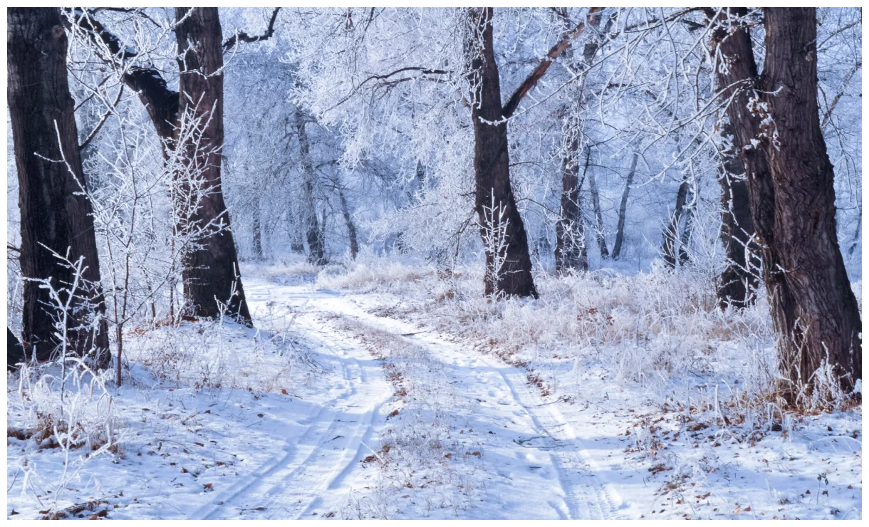 Winter landscape free public domain pictures