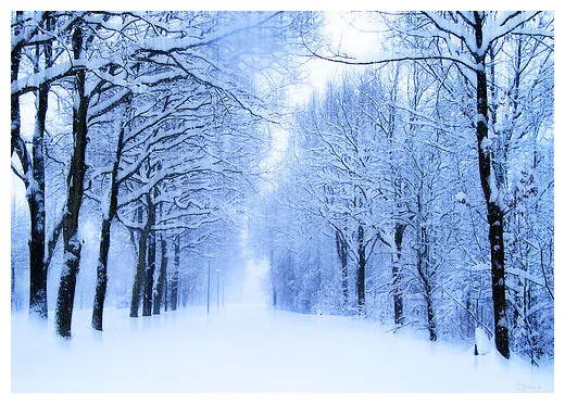 The galleries winter