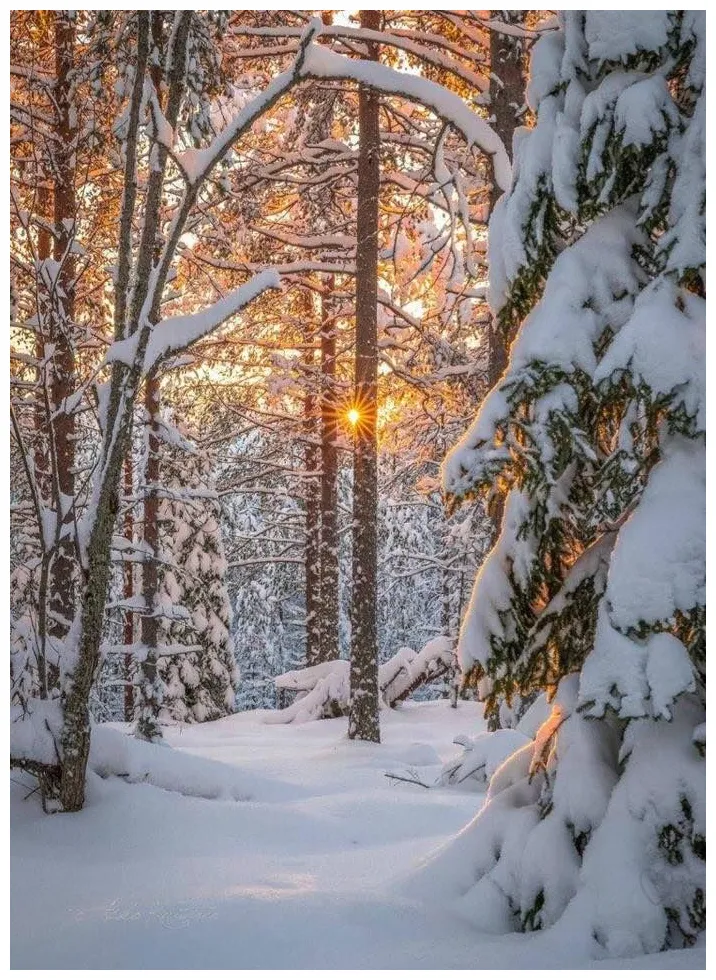 Pin by renée on hiver winter scenery, winter pictures, winter landscape