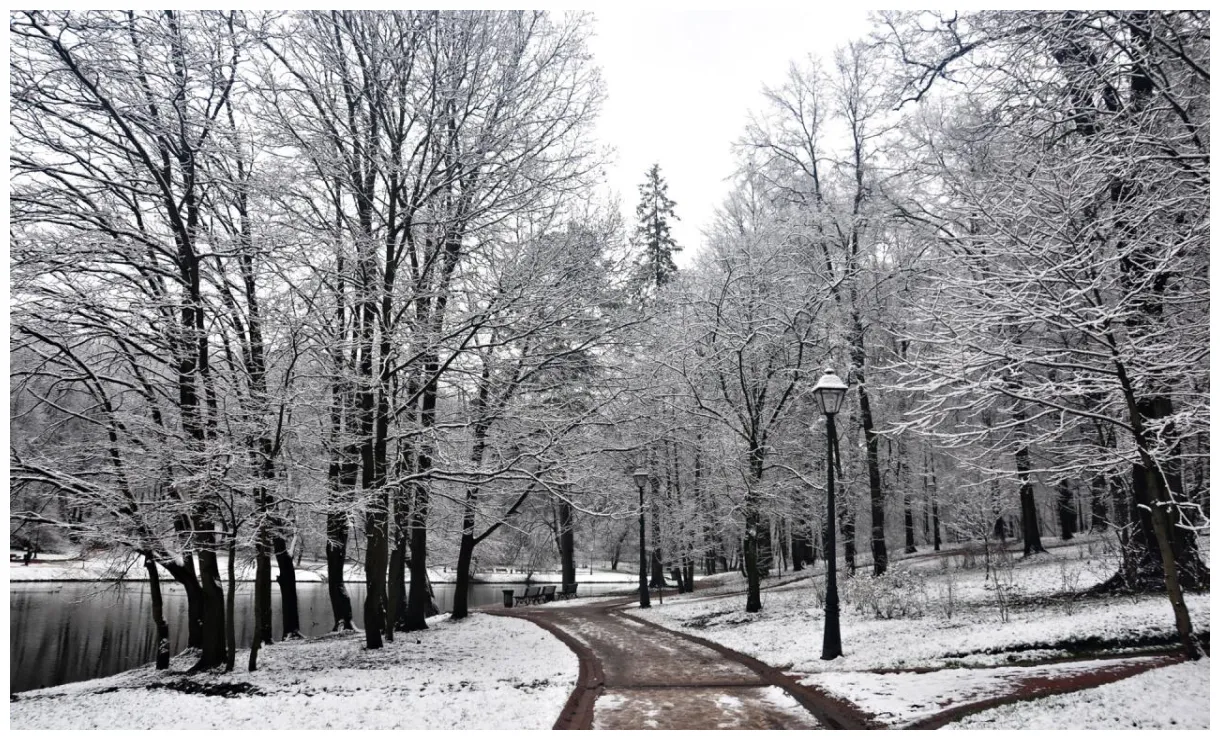 Life around us winter season