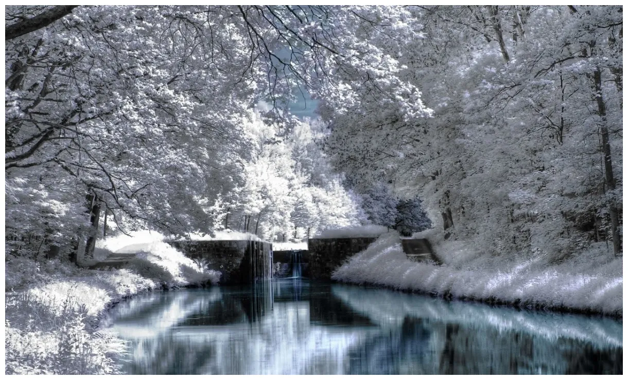 Life around us winter season