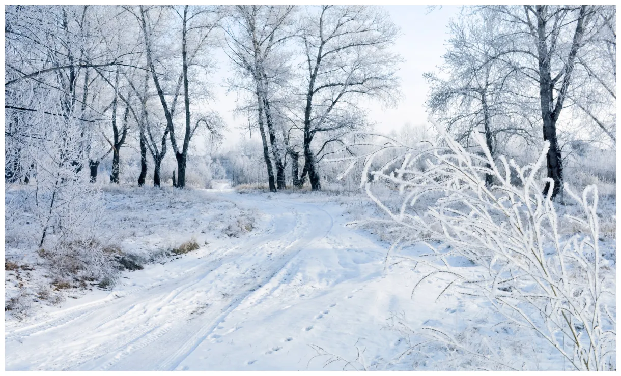 Winter free public domain pictures