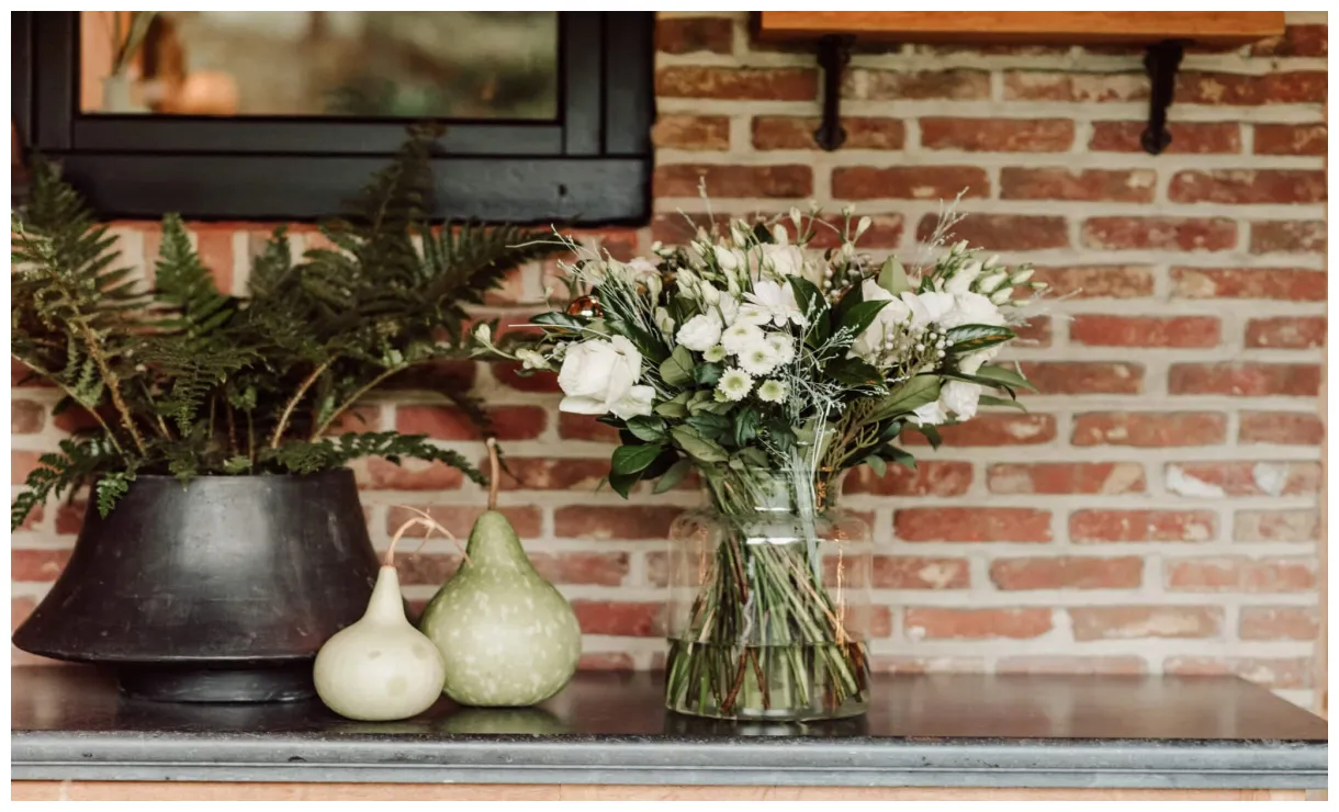 Witte Kerst online bestellen | Philippo-rozen