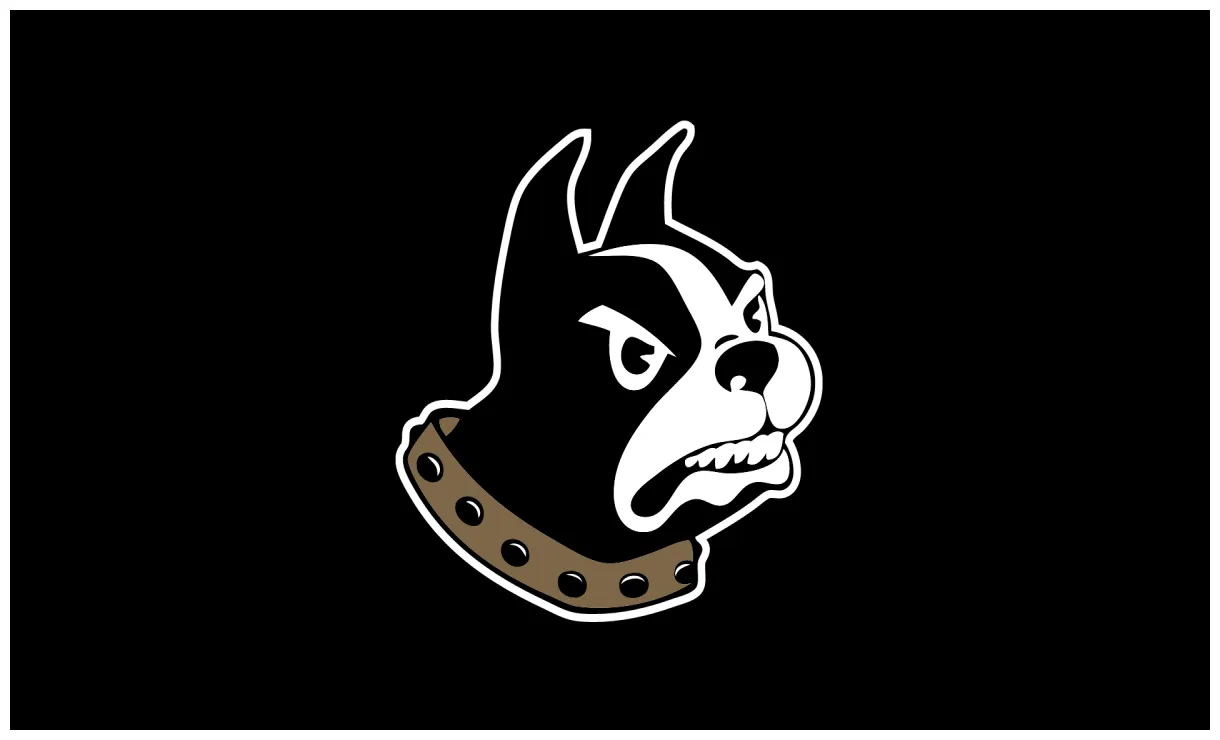 Staff update hoopdirt