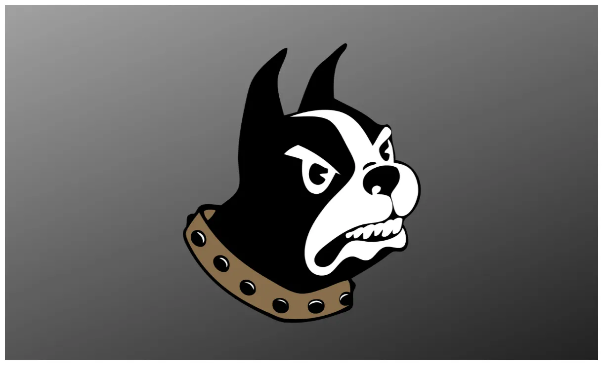 Staff update hoopdirt