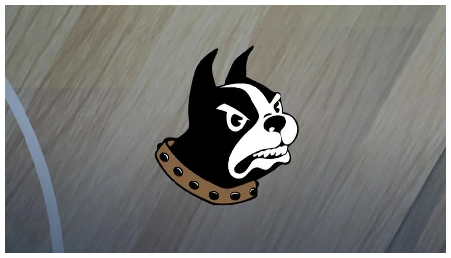 Wofford men's basketball team dominates vmi